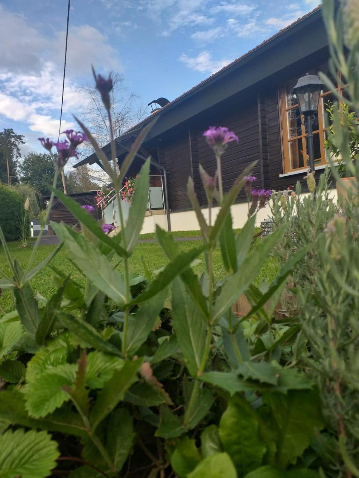 Ferienhaus Kumpitsch Villa Sankt Johann im Saggautal Exterior foto